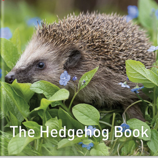 The Hedgehog Book