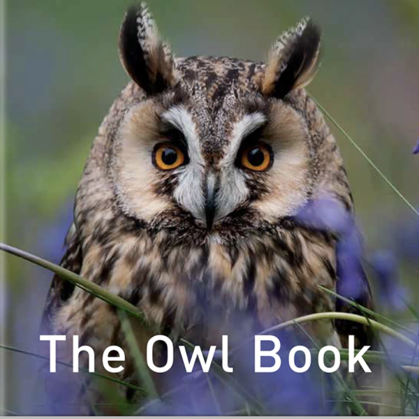 The Owl Book