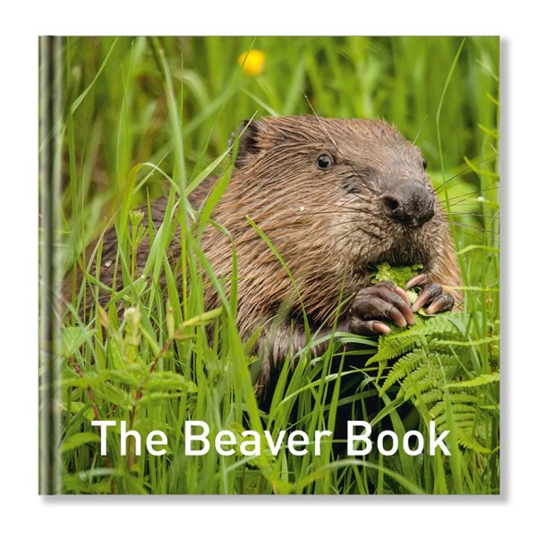 The Beaver Book - GG