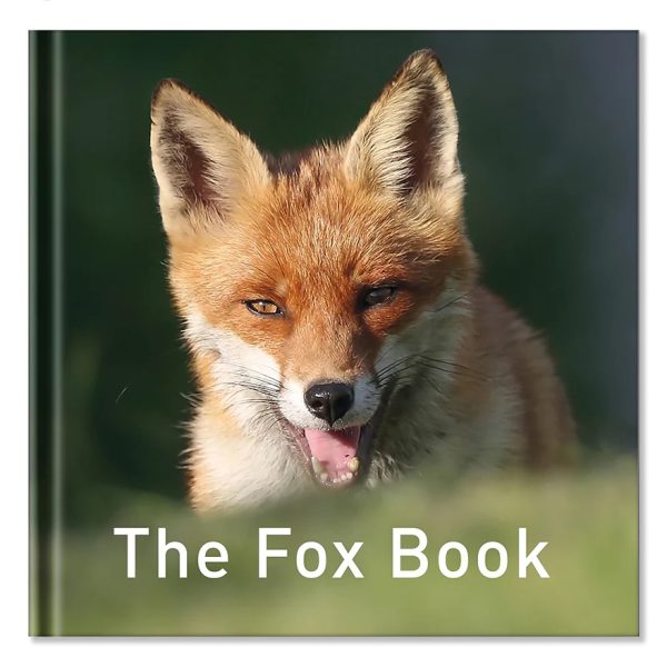 The Fox Book - GG