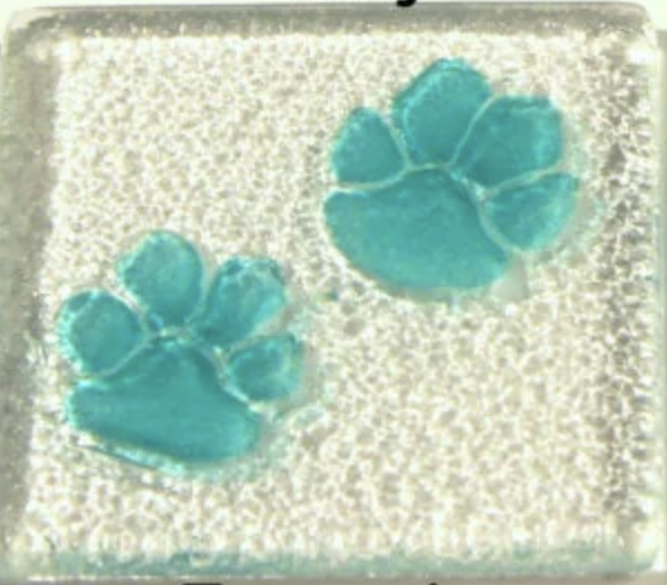 Paw Coaster - Turquoise - MA