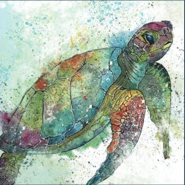 Dollyhotdogs Card - Turtle