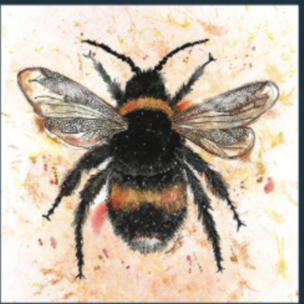 Dollyhotdogs Card - Bee