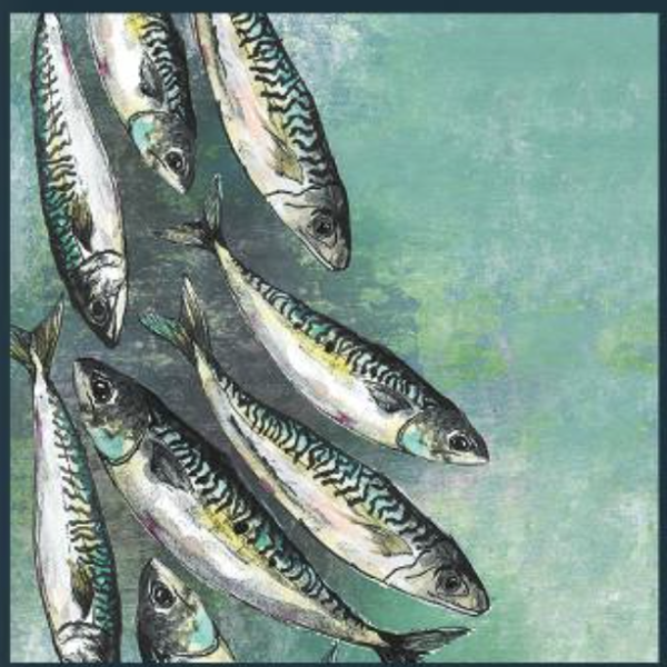Dollyhotdogs Card - Mackerel Shoal