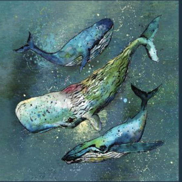 Dollyhotdogs Card - Whale