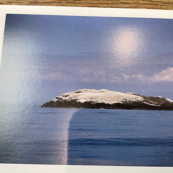 Greetings Cards - Grassholm Island