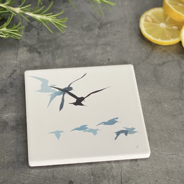 Sandra Vick Coaster - Tern and Oystercatchers