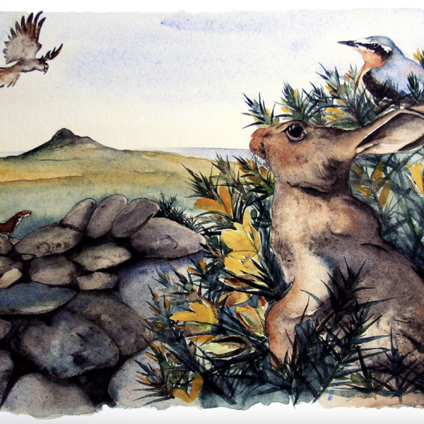 The Lost Spells - Hare and Gorse - Framed