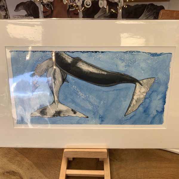 Sperm Whale Unmounted - Print