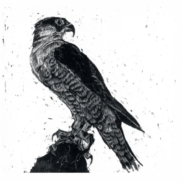 Queen of the Sky - Brighter, Greetings Card