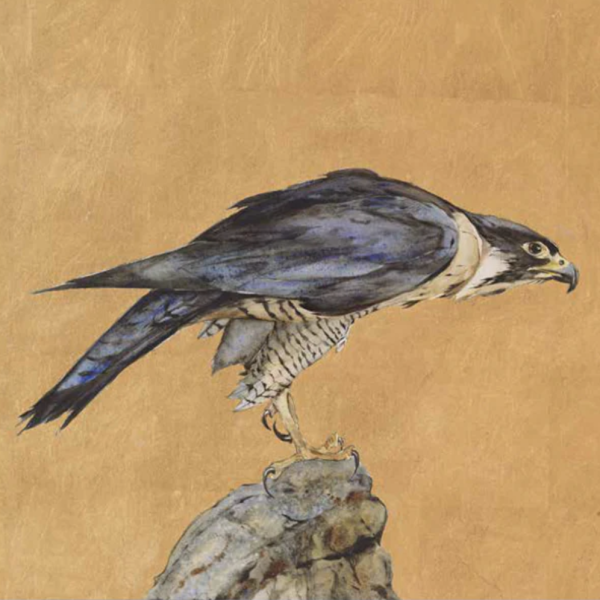 Queen of the Sky - Hunter, Greetings Card