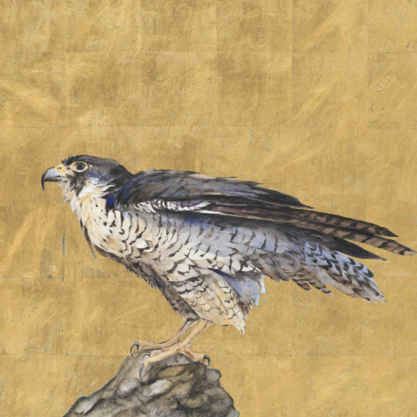 Queen of the Sky - Contentment, Greetings Card