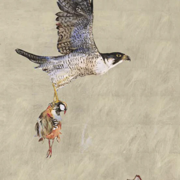 Queen of the Sky - Pilgrim Bird, Greetings Card