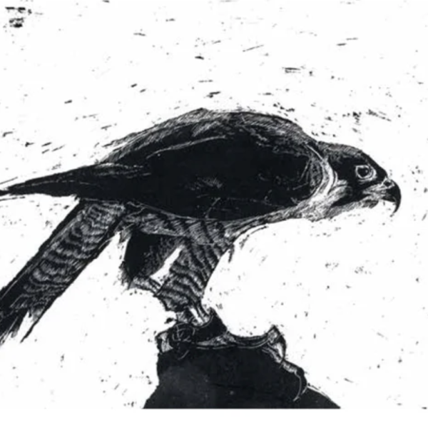 Queen of the Sky - First Arrived, Greetings Card