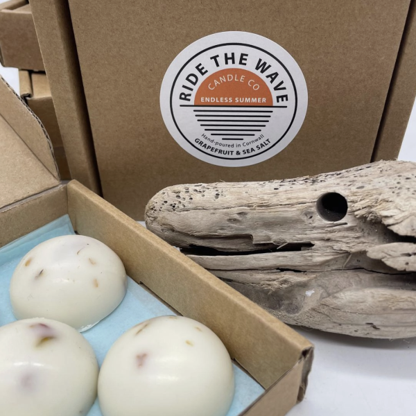 Ride the Wave - Endless Summer Wax Melts
