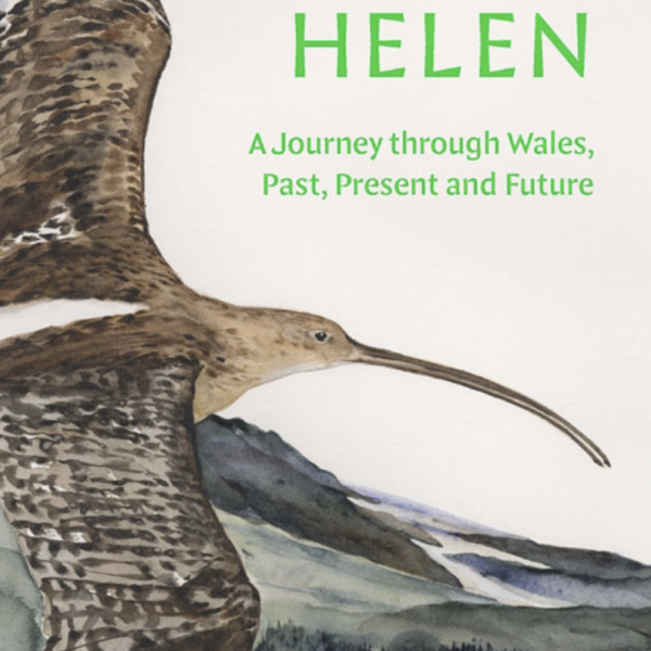 Sarn Helen - Tom Bullough (Paperback)