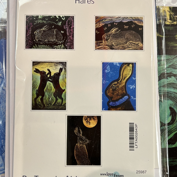 Hares Notecards - Tamsin Abbott (Pack of 5)