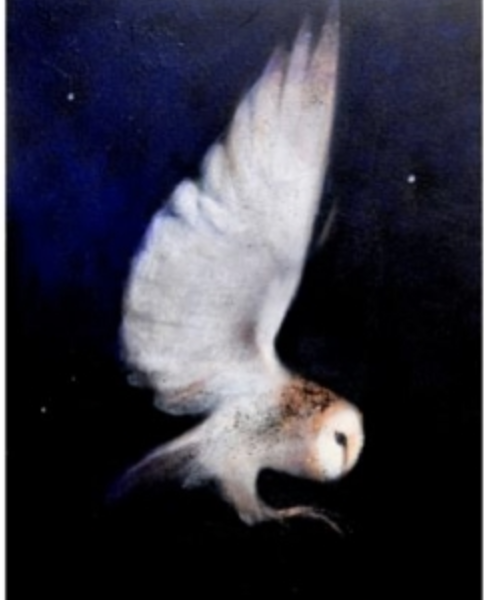 Falling Through Starlight - Catherine Hyde