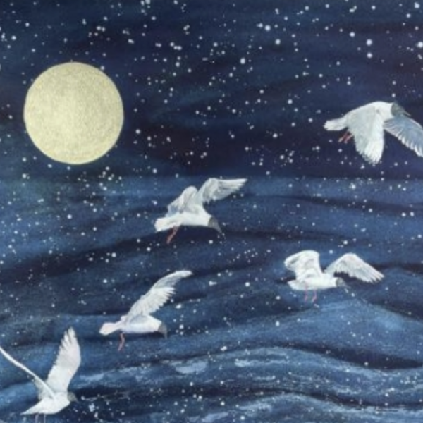Evening Flight - Anita Woods