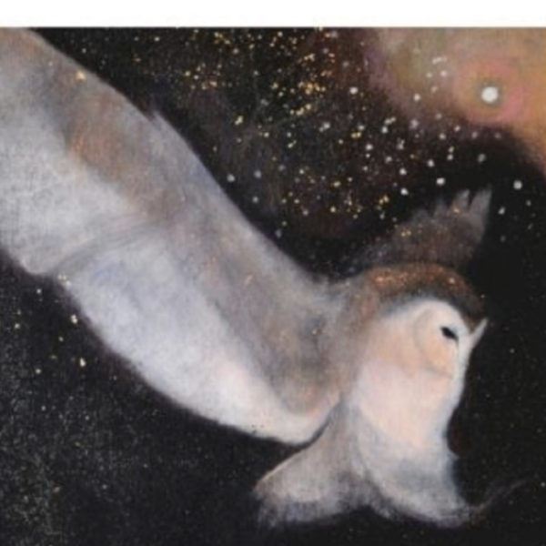The Soft Night Descending - Catherine Hyde