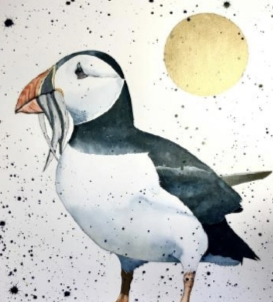 Puffin - Anita Woods