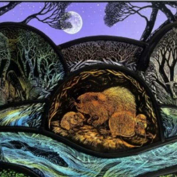 Rewilding - Tamsin Abbott