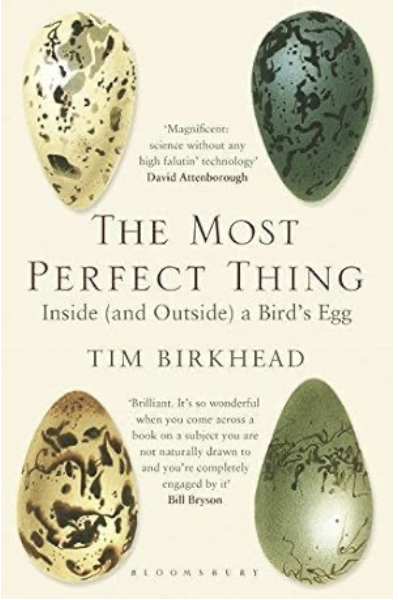 The Most Perfect Thing by Tim Birkhead