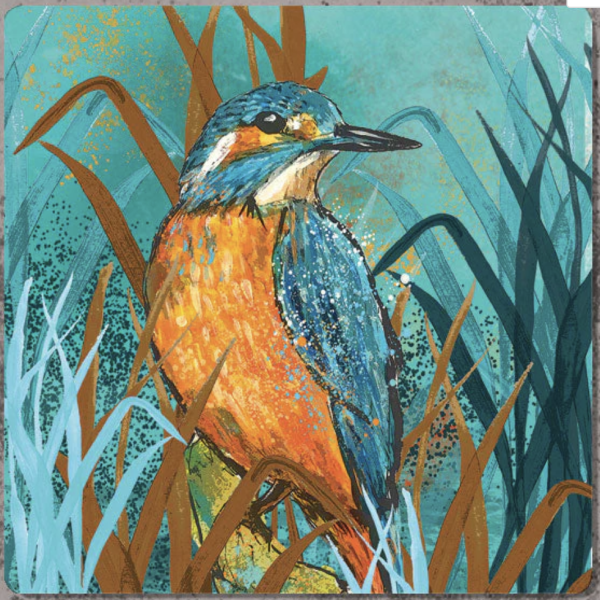 Dollyhotdogs Card - Kingfisher