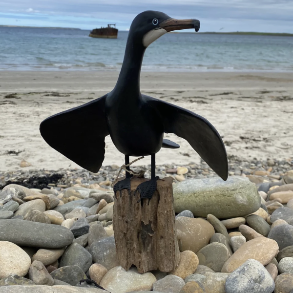 Small Wingspread Cormorant