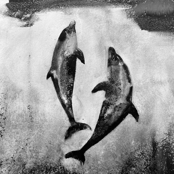 James Roberts - Rising Dolphins A3