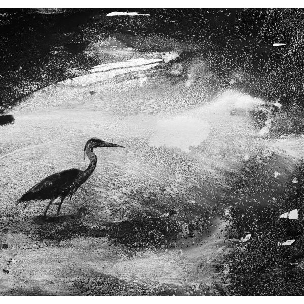 James Roberts - River Heron A3