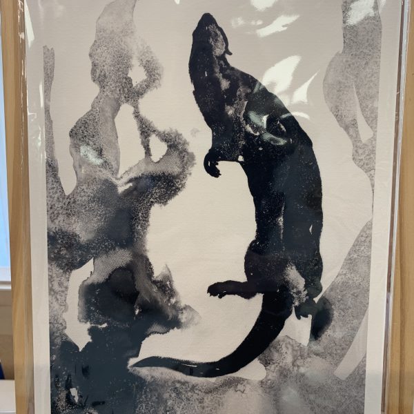 James Roberts - Solo Otter A4