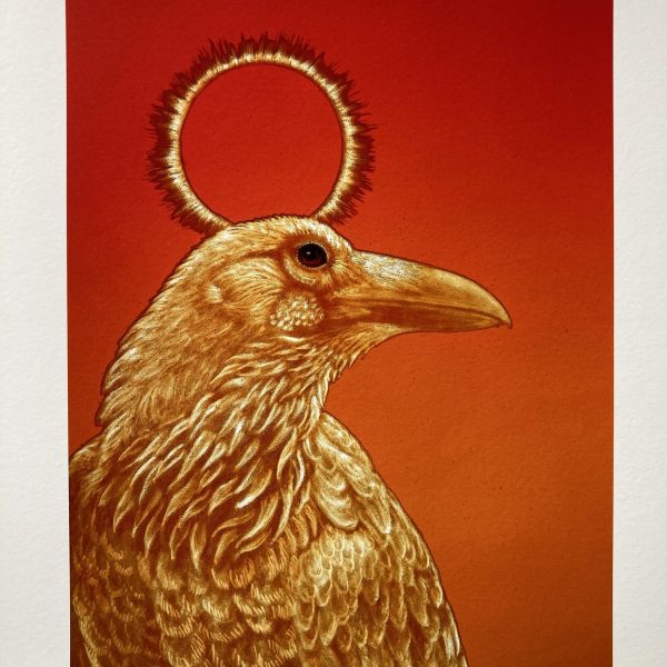 Tamsin Abbott Wild Folk Print - 'White Raven'
