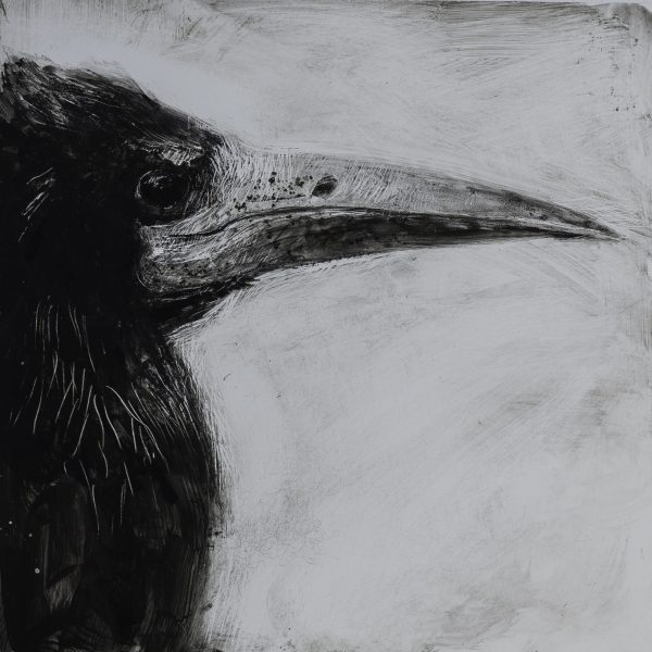 Rook Watching - Catherine Hyde