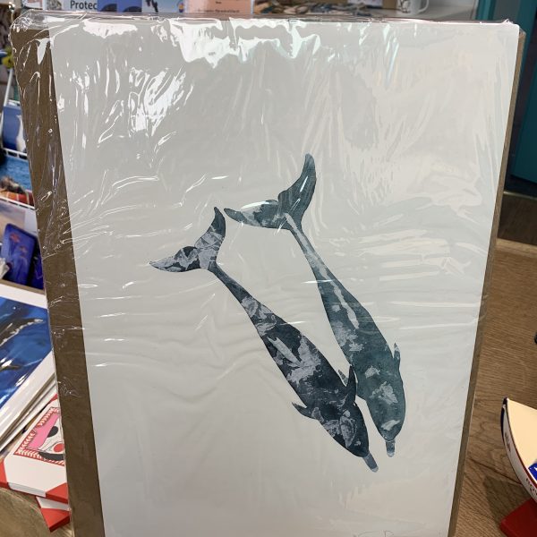 Nicola Davies - Dolphin Couple (Print)