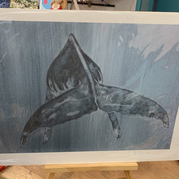 Nicola Davies - Humpback Tail, Grey (Print)