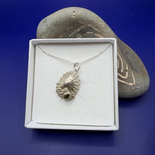 Silver Limpet Pendant