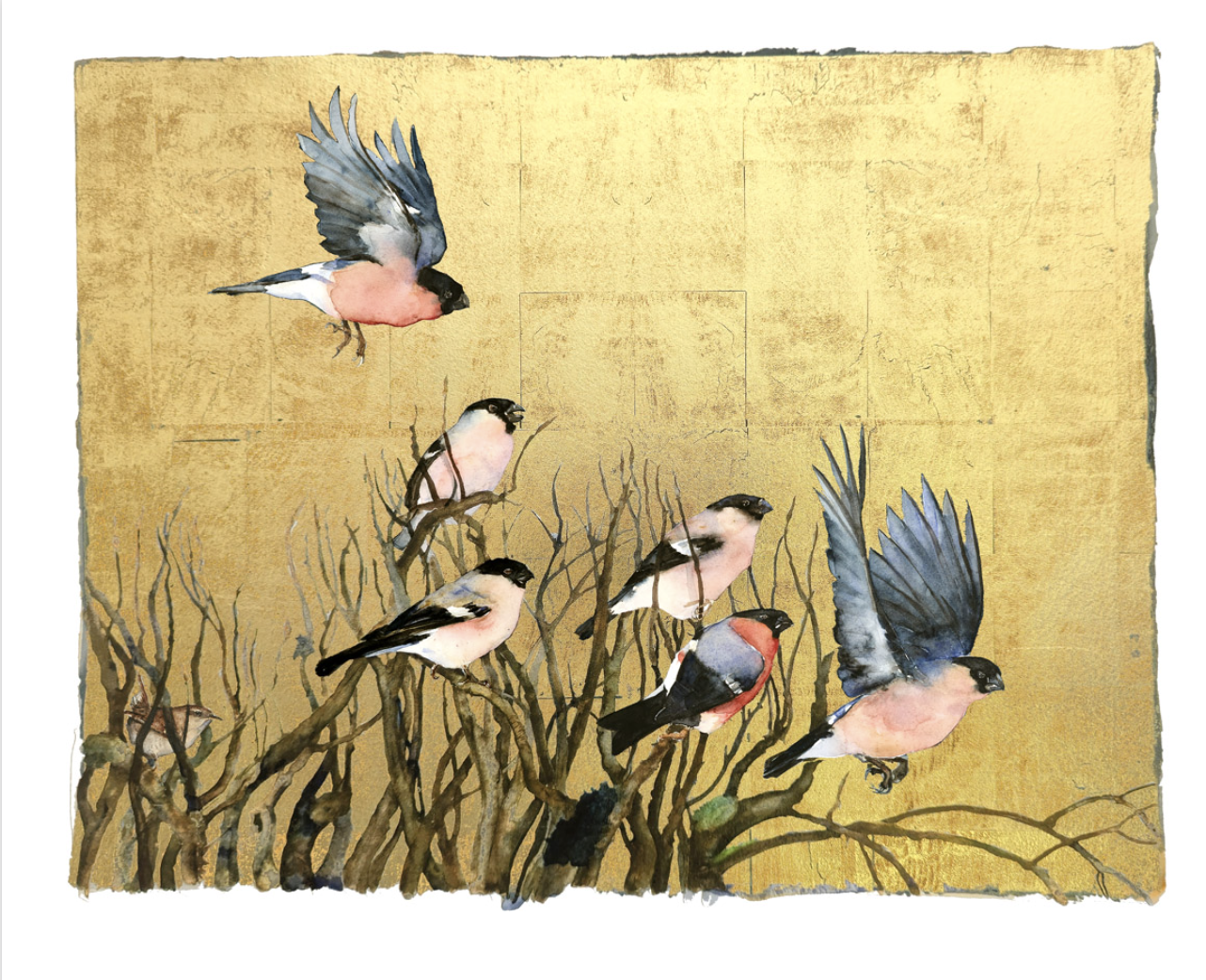 The Book Of Birds - Bullfinch Mounted Limited Edition Print 17/75
